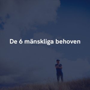De 6 mänskliga behoven
