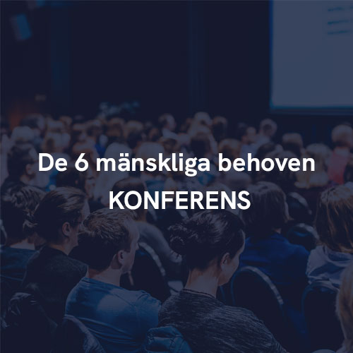 6_manskliga_behoven-Konferens_bild