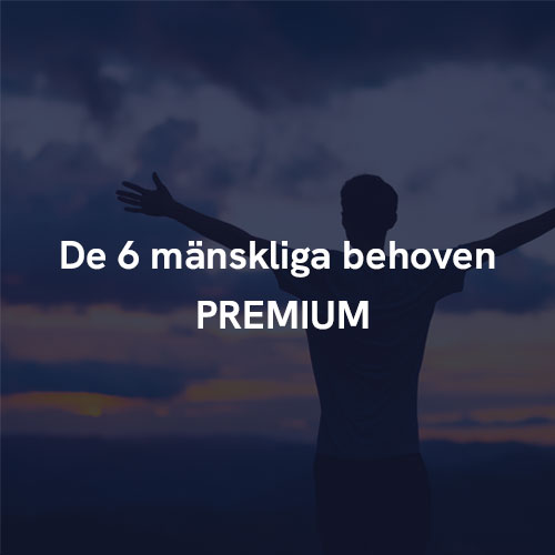 6_manskliga_behoven-Premium_bild