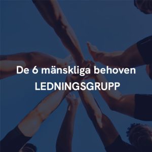De 6 mänskliga behoven - LEDNINGSGRUPP