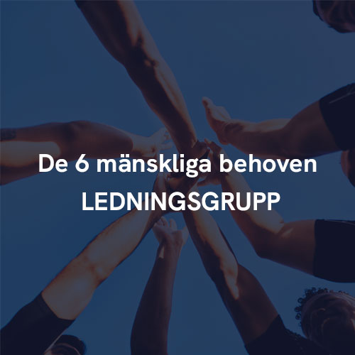 6_manskliga_behoven-ledningsgrupp_bild