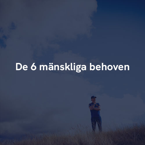 6_manskliga_behoven