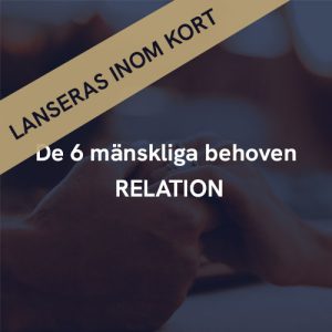 De 6 mänskliga behoven – RELATION inom kort